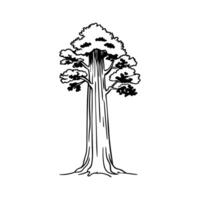 Charming Sequoia Tree Illustration vector