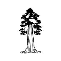 Charming Sequoia Tree Design vector