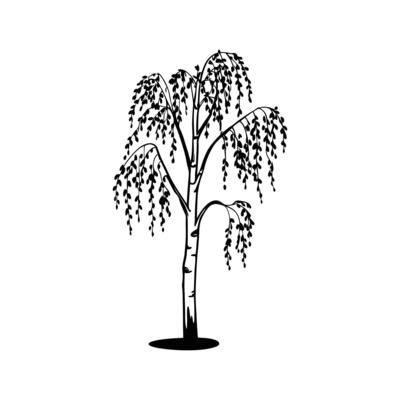 Vivid Silver Birch Tree Artwork