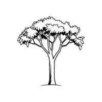 Soapberry Tree Artistic Design vector