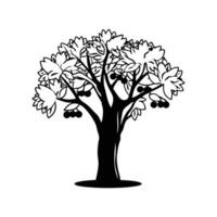 Charming Soapberry Tree Illustration vector