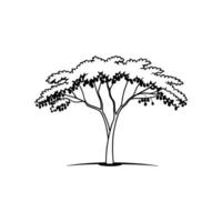 Vivid Soapberry Tree Design vector