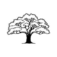 Charming Southern Live Oak Tree Artwork vector