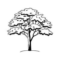 Sugar Maple Tree Artistic Design vector