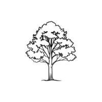 Sugar Maple Tree Design vector