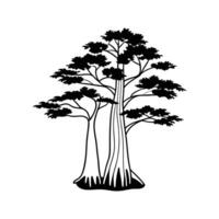 Charming Swamp Tupelo Tree vector