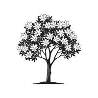 Charming Sweet Bay Magnolia Tree vector