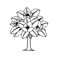 Elegant Sweet Bay Magnolia Tree Design vector