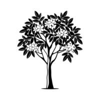 Texas Mountain Laurel Tree Design vector
