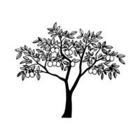 Charming Texas Persimmon Tree Illustration vector