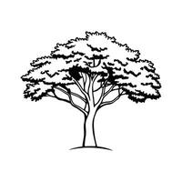 Stylized Texas Persimmon Tree Design vector