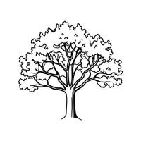 Texas Red Oak Tree Artistic Design vector