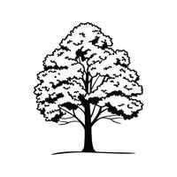 Stylized Tulip Poplar Tree Artwork vector