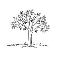 Walnut Tree Artistic Design vector
