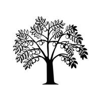 Charming Walnut Tree Illustration. vector