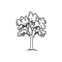 Stylized Walnut Tree Artwork. vector