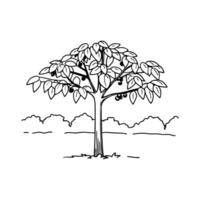 Artistic Walnut Tree Design vector