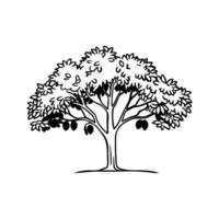 Stylized Walnut Tree Artwork vector