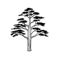 Western Red Cedar Tree Artistic Design vector