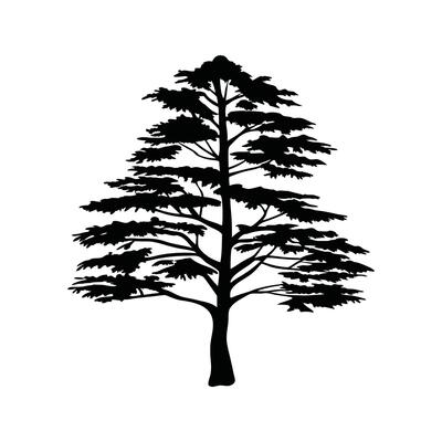 Charming Western Red Cedar Tree Illustration