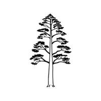 Stylized Western Red Cedar Tree Artwork vector