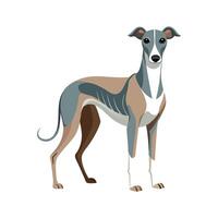 Stylized Whippet Art for Unique Pets vector