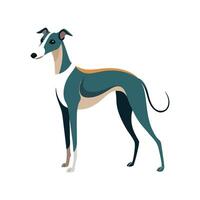 Stylized Whippet Art for Unique Pet Illustration vector