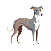 Creative Whippet for Artistic Projects vector