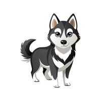Distinct Alaskan Klee Kai Design vector