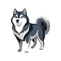 Charming Alaskan Malamute Art for Projects vector