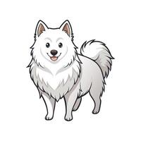 Charming American Eskimo Dog Design vector