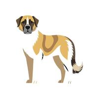 Charming Anatolian Shepherd Design vector