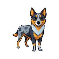 Charming Australian Cattle Dog Design vector