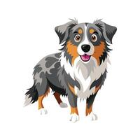 Stylish Australian Shepherd Illustration for Designers vector