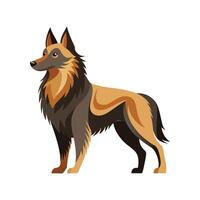 Charming Belgian Sheepdog Illustration for Projects vector