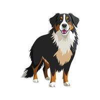 Charming Bernese Mountain Dog Design vector
