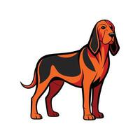 Stylish Bloodhound Art for Projects vector