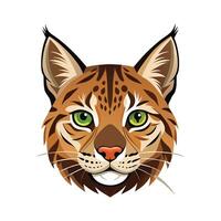 Unique Bobcat Illustration for Projects vector