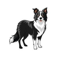 Charming Border Collie Art vector