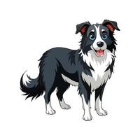 Engaging Border Collie Art for Projects vector