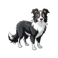 Unique Border Collie Design for Creatives vector