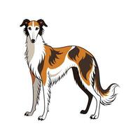 Unique Borzoi Art for Creatives vector