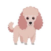 Dainty Caniche in Charming Posture vector