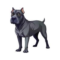 Majestic Cane Corso in Strong Stance vector