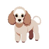 Caniche Dog Running Through the Field vector