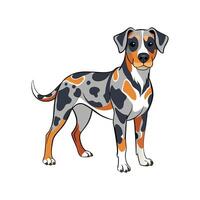 Catahoula Leopard Dog in Adventurous Pose vector