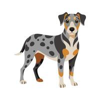 Playful Catahoula Leopard Dog with Expressions vector