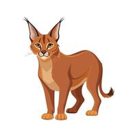 Dynamic Caracal in MidLeap vector