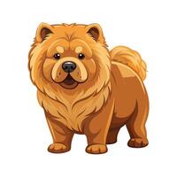 Majestic Chow Chow with Fluffy Coat vector