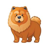 Energetic Chow Chow on a Walk vector
